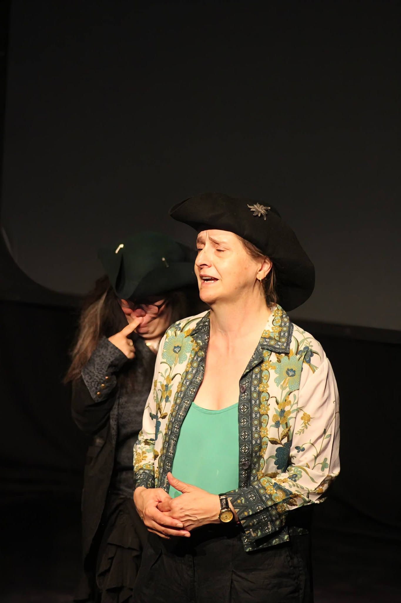 Norwich Improthon IV photo 13