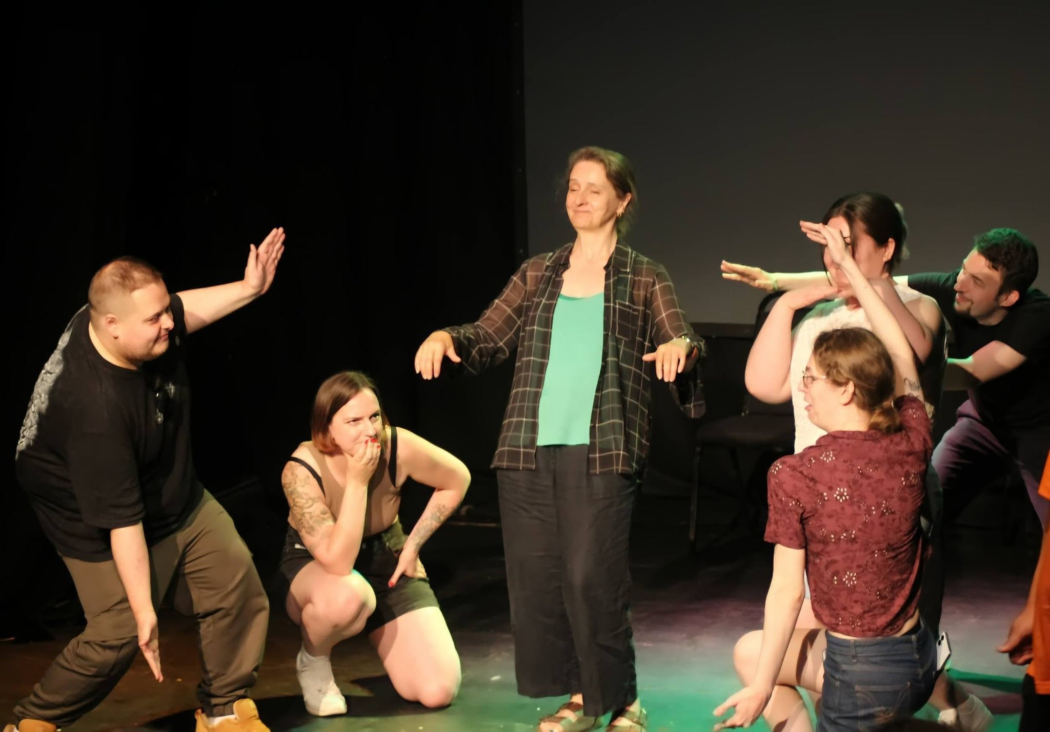 Norwich Improthon IV photo 24