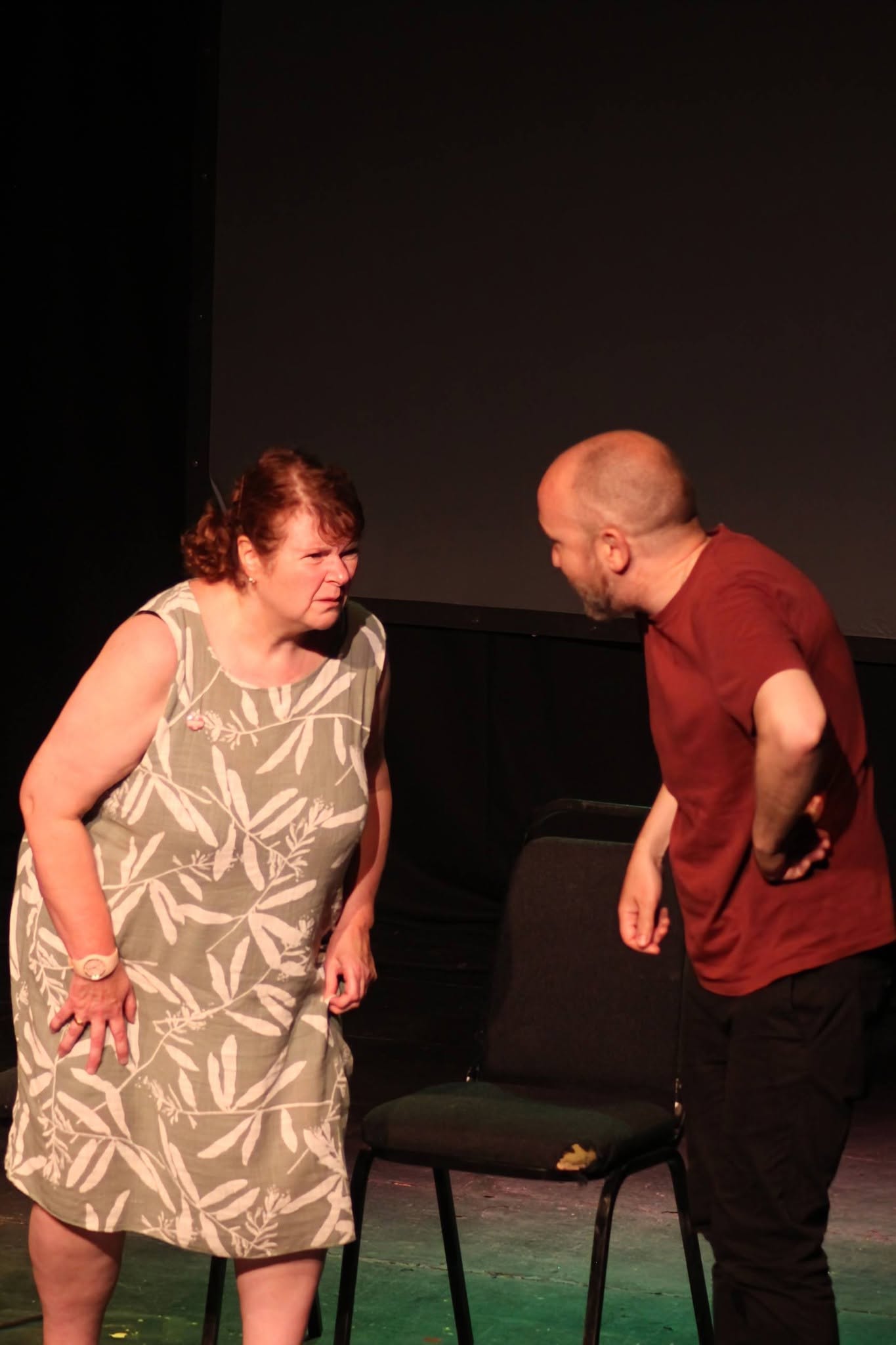 Norwich Improthon IV photo 38